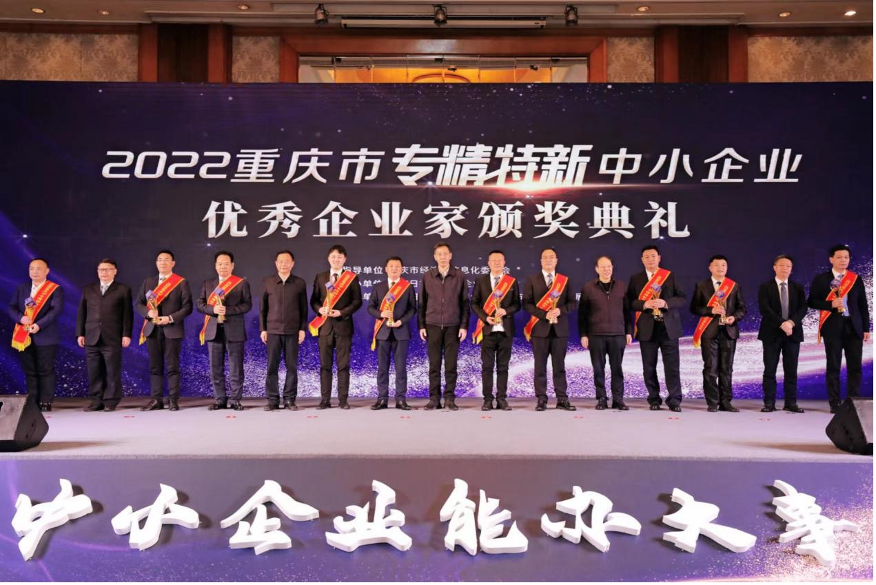 “点赞！洪敏董事长荣获重庆市首届“专精特新优秀企业家”